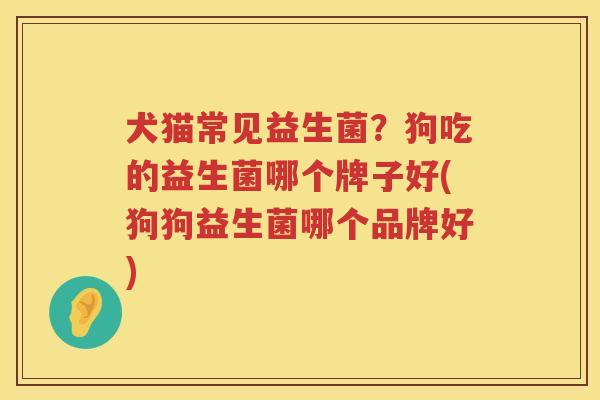 犬猫常见益生菌？狗吃的益生菌哪个牌子好(狗狗益生菌哪个品牌好)