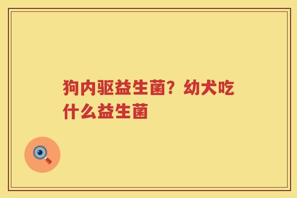 狗内驱益生菌？幼犬吃什么益生菌