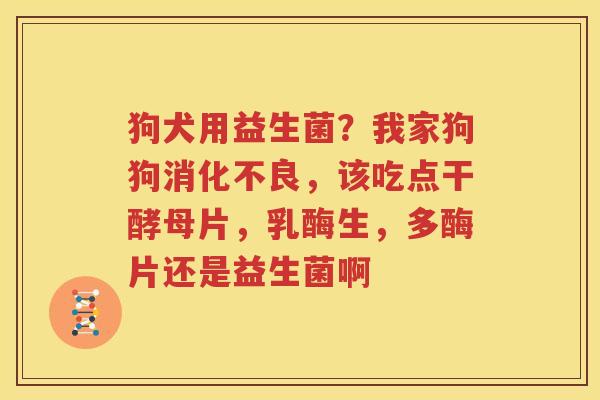 狗犬用益生菌？我家狗狗消化不良，该吃点干酵母片，乳酶生，多酶片还是益生菌啊