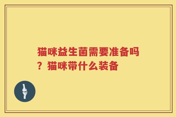 猫咪益生菌需要准备吗？猫咪带什么装备