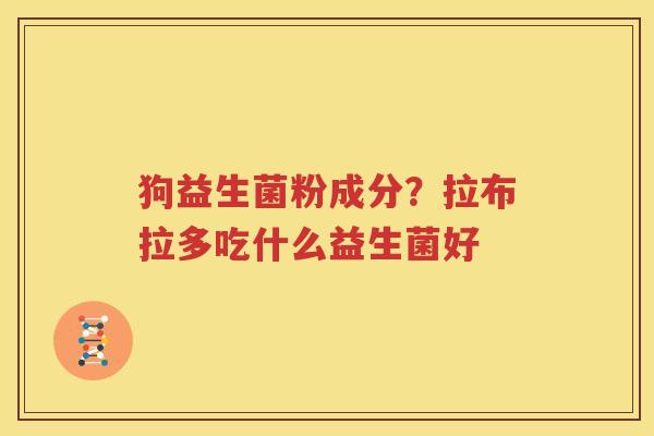 狗益生菌粉成分？拉布拉多吃什么益生菌好