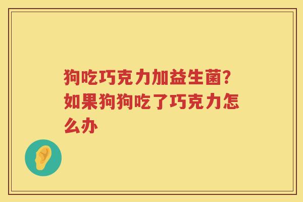 狗吃巧克力加益生菌？如果狗狗吃了巧克力怎么办