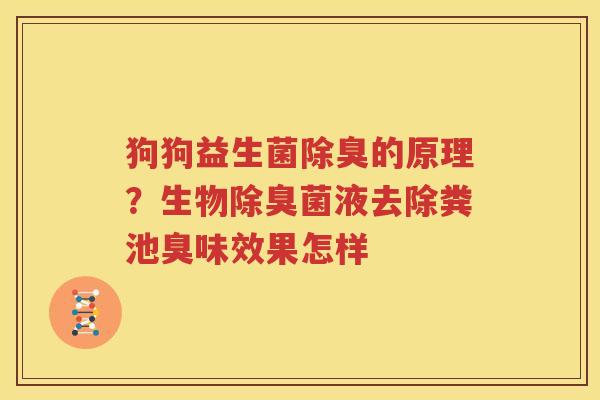 狗狗益生菌除臭的原理？生物除臭菌液去除粪池臭味效果怎样