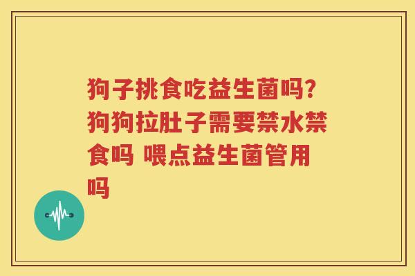 狗子挑食吃益生菌吗？狗狗拉肚子需要禁水禁食吗 喂点益生菌管用吗