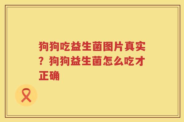 狗狗吃益生菌图片真实？狗狗益生菌怎么吃才正确