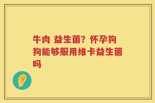 牛肉 益生菌？怀孕狗狗能够服用维卡益生菌吗