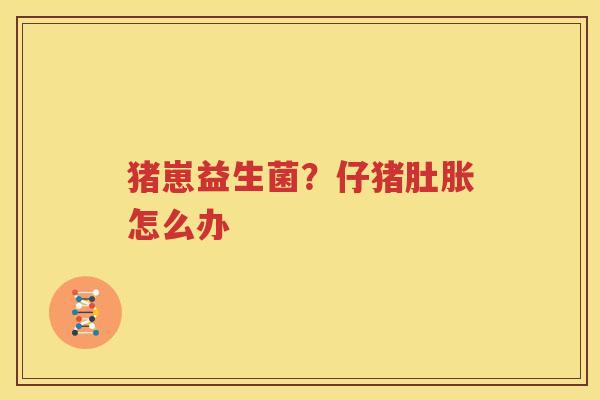 猪崽益生菌？仔猪肚胀怎么办