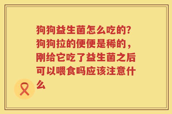 狗狗益生菌怎么吃的？狗狗拉的便便是稀的，刚给它吃了益生菌之后可以喂食吗应该注意什么