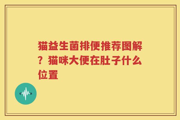 猫益生菌排便推荐图解？猫咪大便在肚子什么位置