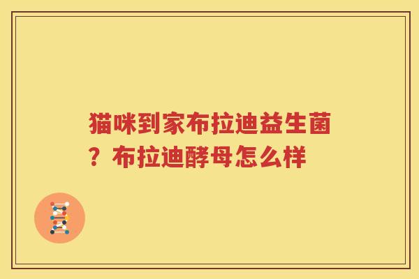 猫咪到家布拉迪益生菌？布拉迪酵母怎么样