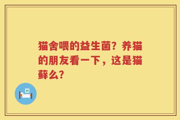 猫舍喂的益生菌？养猫的朋友看一下，这是猫藓么？