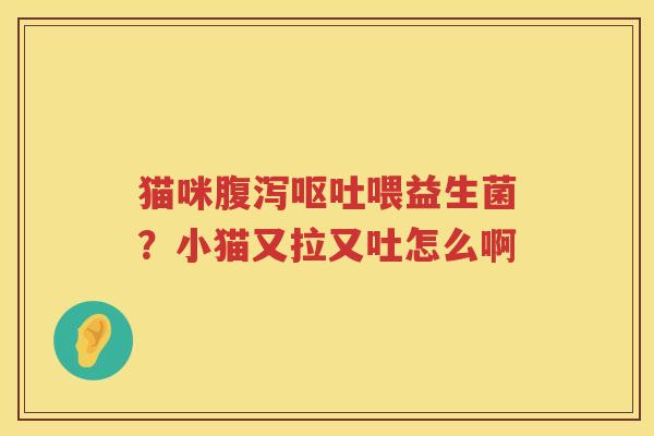 猫咪腹泻呕吐喂益生菌？小猫又拉又吐怎么啊