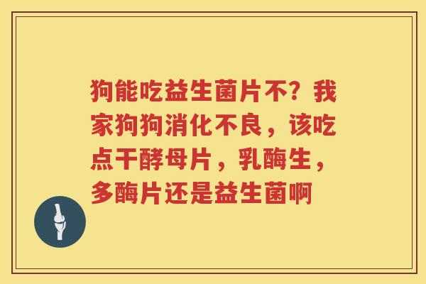 狗能吃益生菌片不？我家狗狗消化不良，该吃点干酵母片，乳酶生，多酶片还是益生菌啊