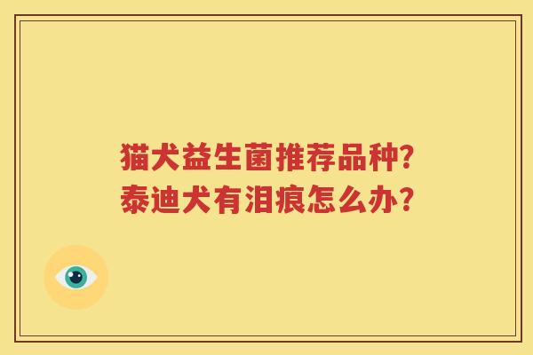 猫犬益生菌推荐品种？泰迪犬有泪痕怎么办？