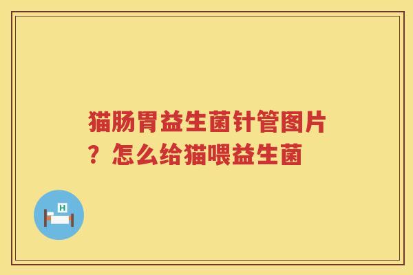 猫肠胃益生菌针管图片？怎么给猫喂益生菌