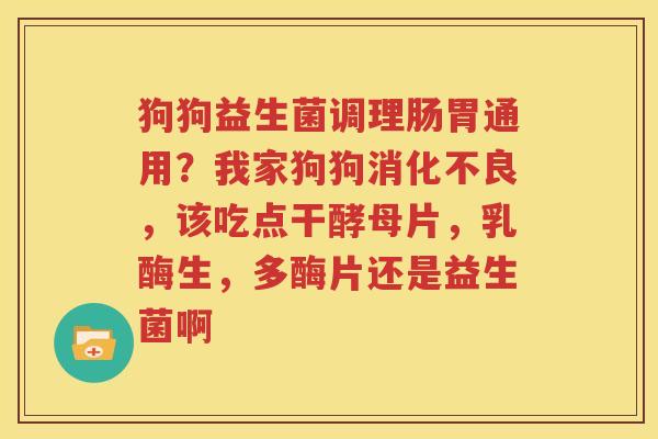 狗狗益生菌调理肠胃通用？我家狗狗消化不良，该吃点干酵母片，乳酶生，多酶片还是益生菌啊