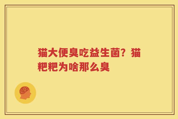 猫大便臭吃益生菌？猫粑粑为啥那么臭