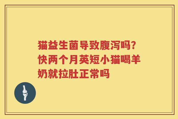 猫益生菌导致腹泻吗？快两个月英短小猫喝羊奶就拉肚正常吗