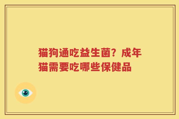 猫狗通吃益生菌？成年猫需要吃哪些保健品