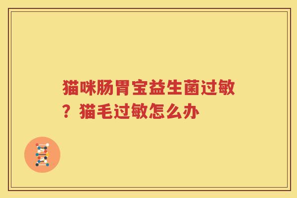 猫咪肠胃宝益生菌过敏？猫毛过敏怎么办