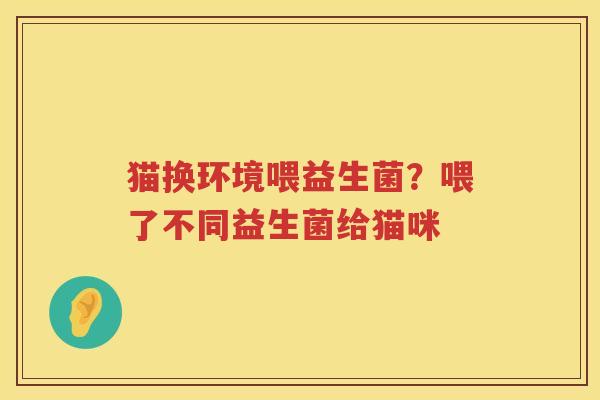猫换环境喂益生菌？喂了不同益生菌给猫咪