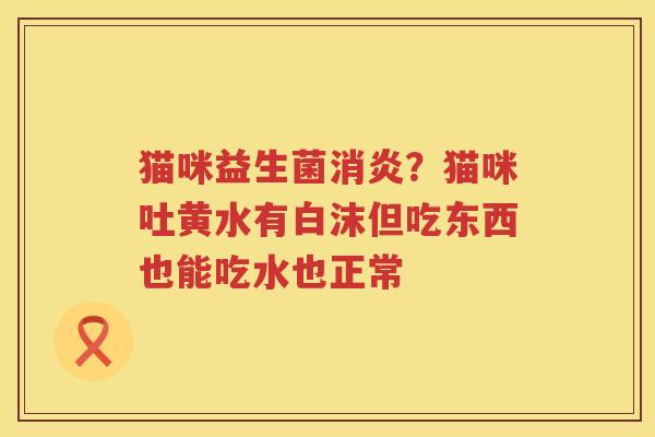 猫咪益生菌消炎？猫咪吐黄水有白沫但吃东西也能吃水也正常