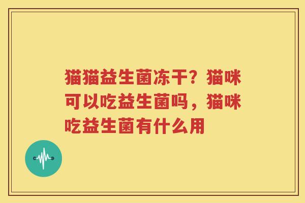 猫猫益生菌冻干？猫咪可以吃益生菌吗，猫咪吃益生菌有什么用
