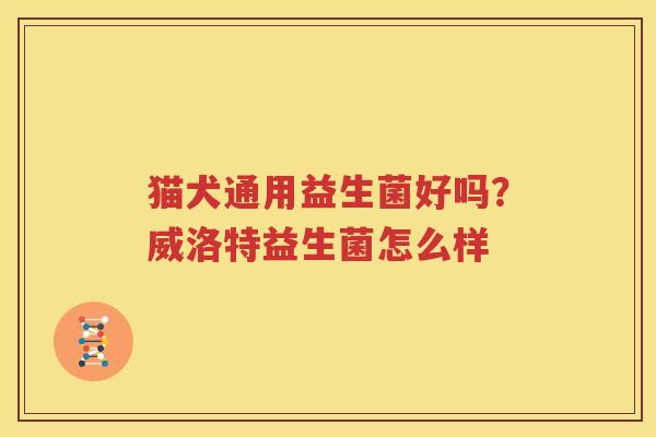 猫犬通用益生菌好吗？威洛特益生菌怎么样
