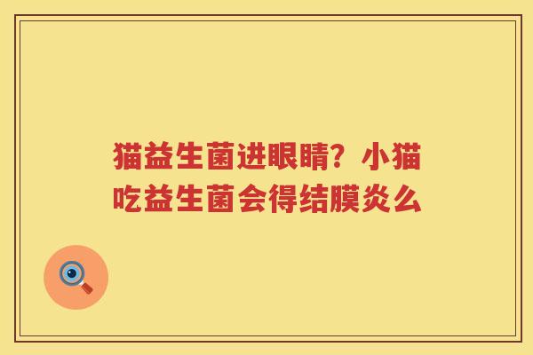 猫益生菌进眼睛？小猫吃益生菌会得结膜炎么