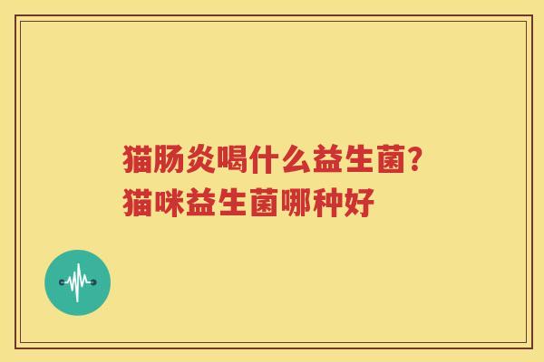 猫肠炎喝什么益生菌？猫咪益生菌哪种好