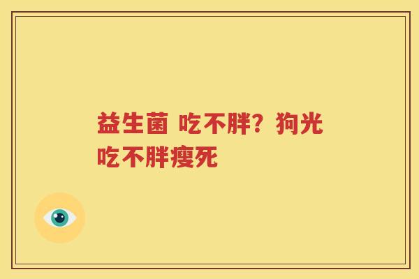 益生菌 吃不胖？狗光吃不胖瘦死