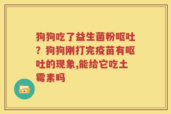 狗狗吃了益生菌粉呕吐？狗狗刚打完疫苗有呕吐的现象,能给它吃土霉素吗