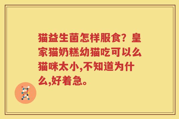 猫益生菌怎样服食？皇家猫奶糕幼猫吃可以么猫咪太小,不知道为什么,好着急。