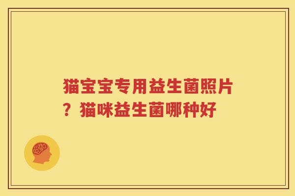 猫宝宝专用益生菌照片？猫咪益生菌哪种好