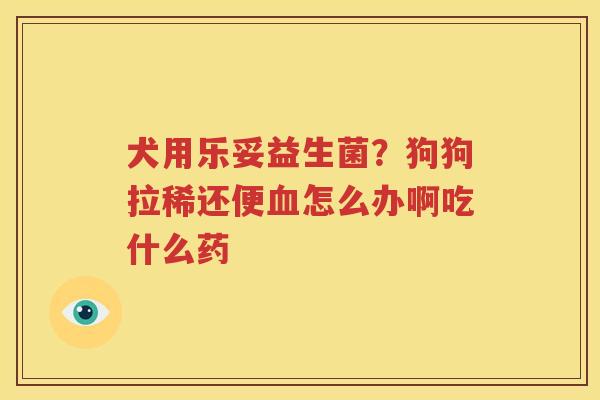 犬用乐妥益生菌？狗狗拉稀还便血怎么办啊吃什么药