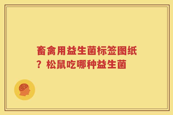畜禽用益生菌标签图纸？松鼠吃哪种益生菌