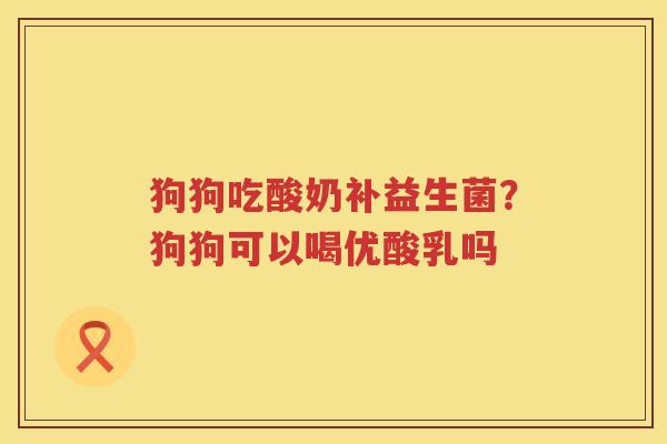 狗狗吃酸奶补益生菌？狗狗可以喝优酸乳吗