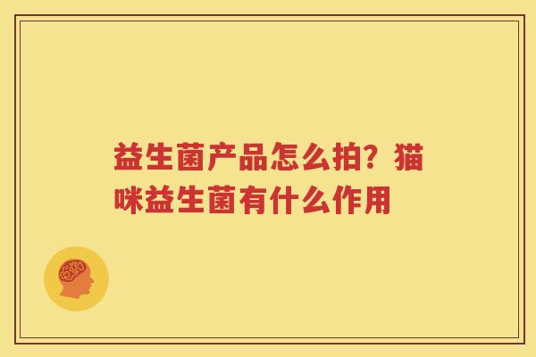 益生菌产品怎么拍？猫咪益生菌有什么作用