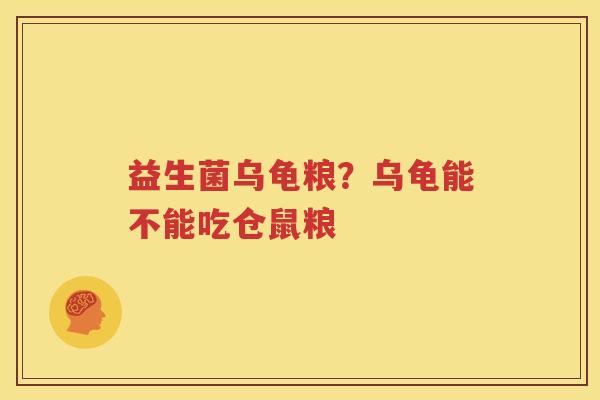 益生菌乌龟粮？乌龟能不能吃仓鼠粮