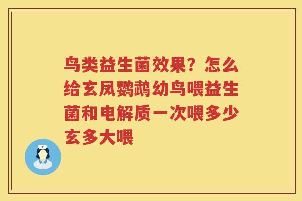 鸟类益生菌效果？怎么给玄凤鹦鹉幼鸟喂益生菌和电解质一次喂多少玄多大喂
