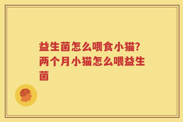 益生菌怎么喂食小猫？两个月小猫怎么喂益生菌