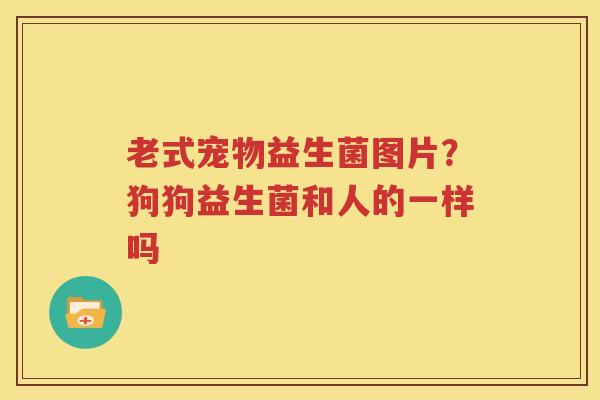 老式宠物益生菌图片？狗狗益生菌和人的一样吗