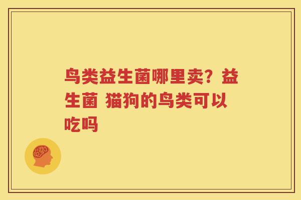 鸟类益生菌哪里卖？益生菌 猫狗的鸟类可以吃吗