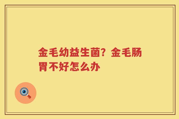金毛幼益生菌？金毛肠胃不好怎么办