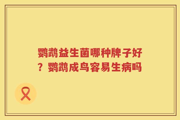 鹦鹉益生菌哪种牌子好？鹦鹉成鸟容易生病吗