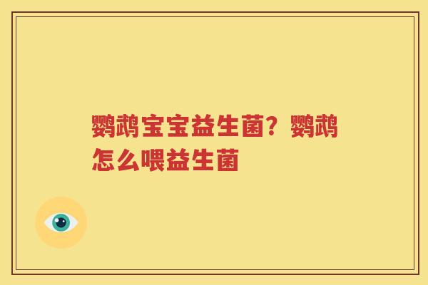 鹦鹉宝宝益生菌？鹦鹉怎么喂益生菌