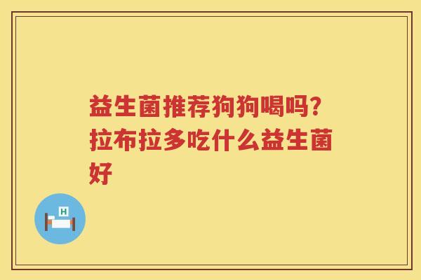 益生菌推荐狗狗喝吗？拉布拉多吃什么益生菌好