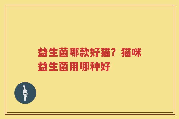 益生菌哪款好猫？猫咪益生菌用哪种好
