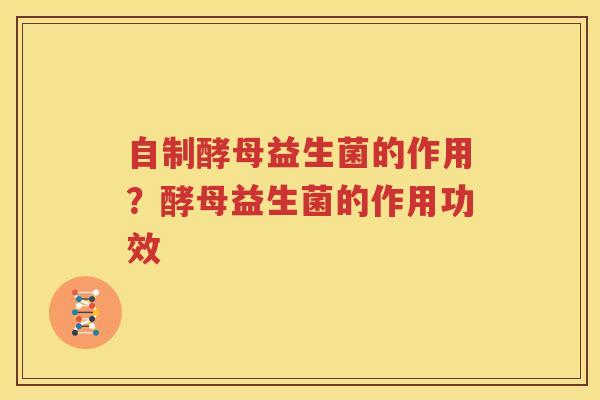 自制酵母益生菌的作用？酵母益生菌的作用功效