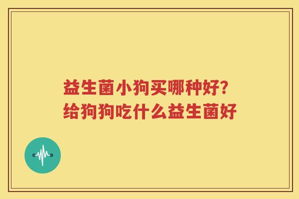 益生菌小狗买哪种好？给狗狗吃什么益生菌好